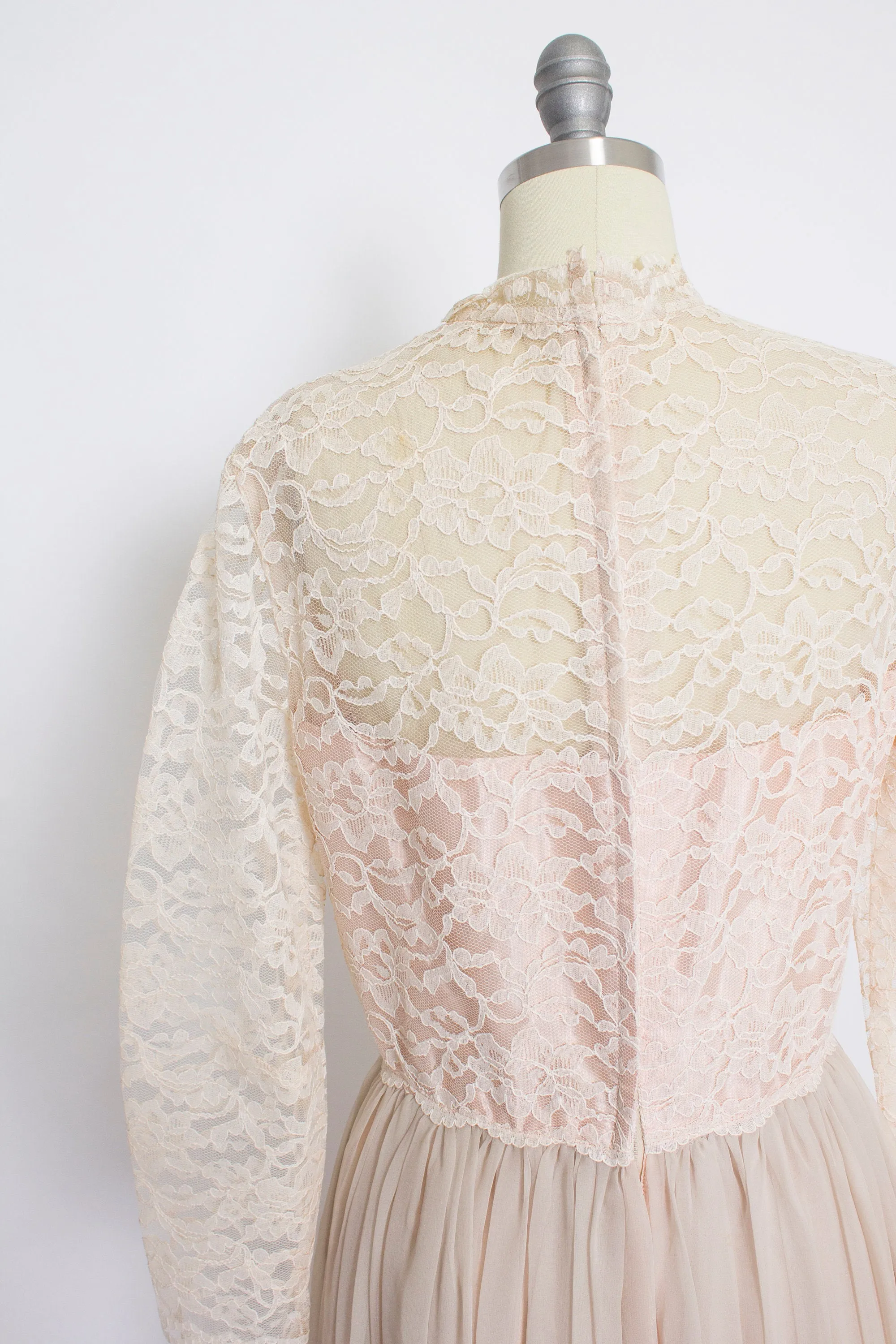 1960s Dress Nude Chiffon Lace Illusion Maxi GownMedium